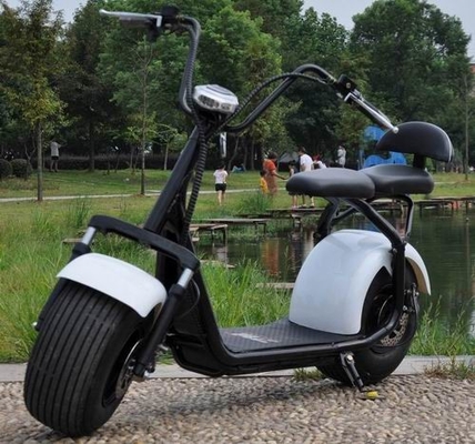 China vette autoped 2 van de band Elektrische motorfiets de autoped volwassen autoped van wielcitycoco leverancier